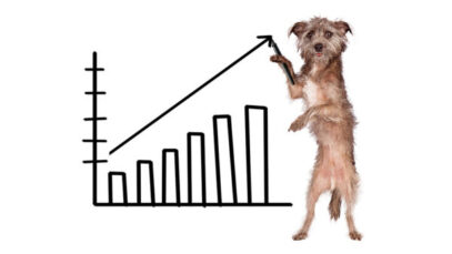 Setor pet cresce 27% e fatura R$ 51,7 bilhões mercado de pet shops