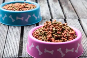 Camil desiste da compra de unidade de pet food da chilena Iansa