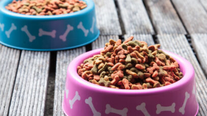 Camil desiste da compra de unidade de pet food da chilena Iansa