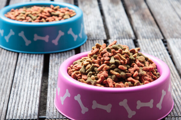 Camil desiste da compra de unidade de pet food da chilena Iansa