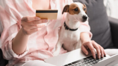 E-commerce de pet shops tem crescimento de 108% E-commerce de pet shops tem crescimento de 108%