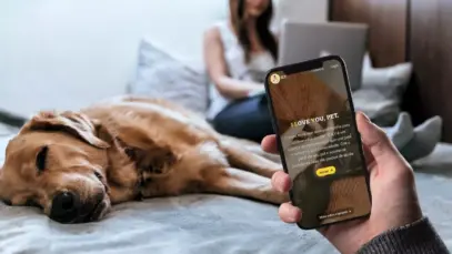App para pet