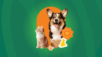 Pets não fogem da inflação e alta da alimentação chega até 80%