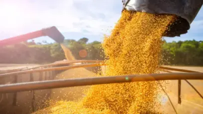 Commodities e varejo levam FMI e bancos a rever PIB para cima