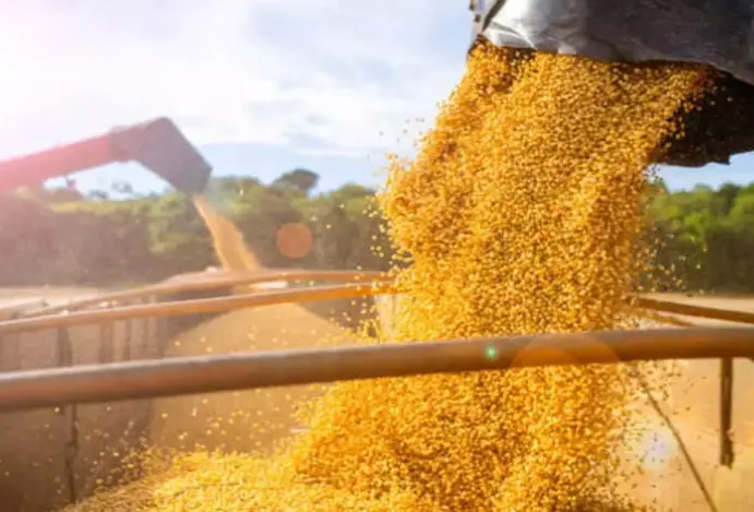 Imagem relacionada a: Commodities e varejo levam FMI e bancos a rever PIB para cima