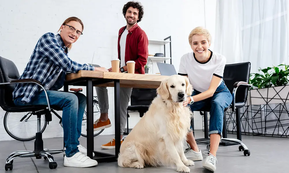 Faturamento do mercado pet pode ser o dobro do atual Faturamento do mercado
