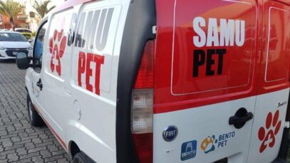 Samu pet
