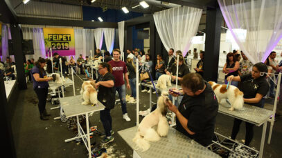 capacitação no mercado pet