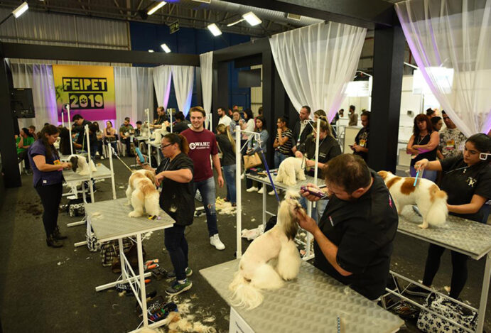 capacitação no mercado pet