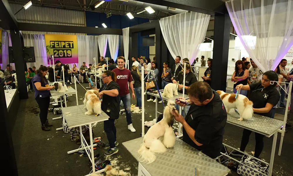 capacitação no mercado pet