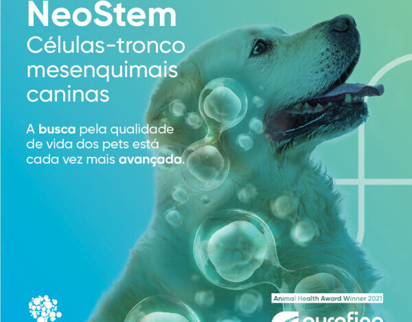 células-tronco para cães
