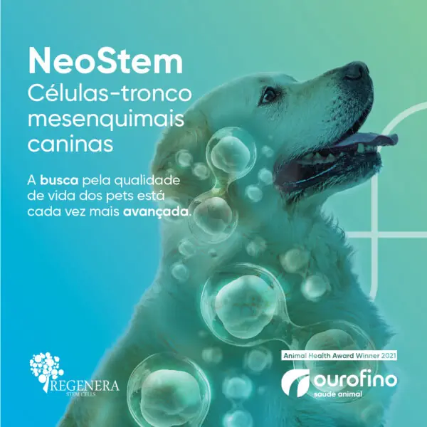 células-tronco para cães células-tronco para cães