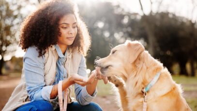 Divisão de custos de pet após separação