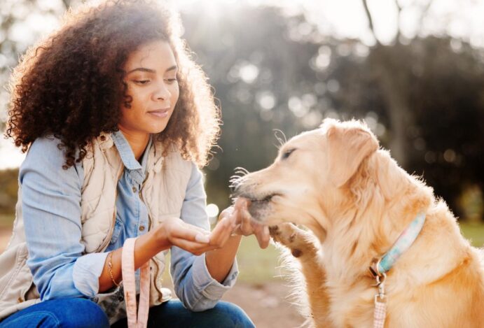 Divisão de custos de pet após separação