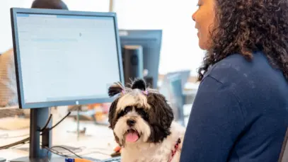 levar o pet ao trabalho Nestlé, agora todo dia é dia de levar o pet ao trabalho
