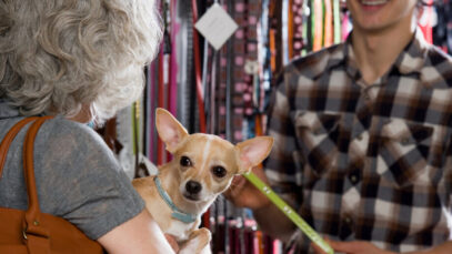 Mercado pet