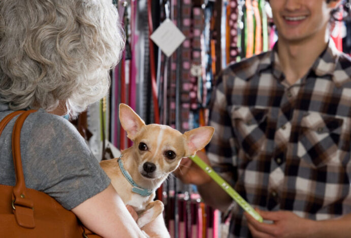 Mercado pet