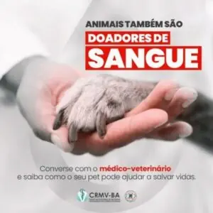 doação de sangue