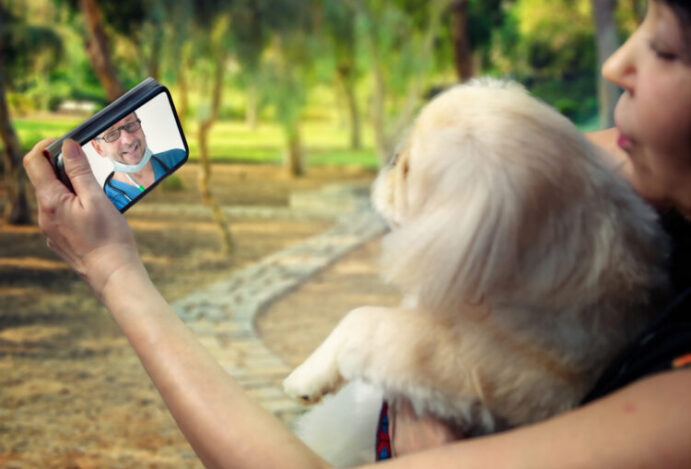 telemedicina veterinária