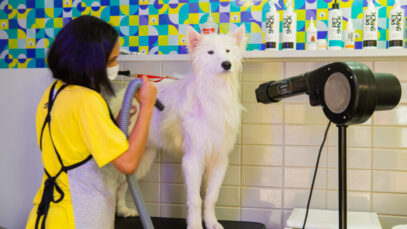digitalização de pet shops