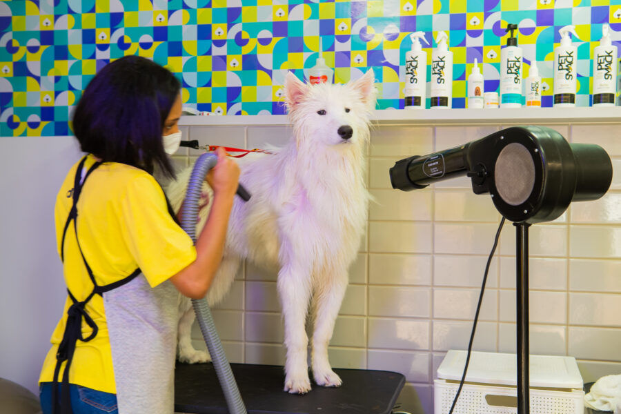 digitalização de pet shops