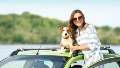 viagens pet