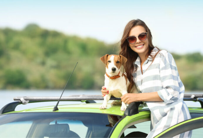 viagens pet