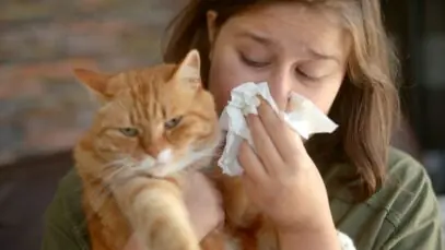 alergia a gatos