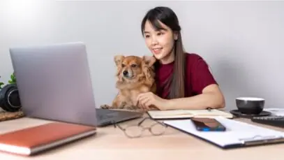 mercado pet