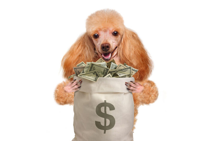 Mercado de ração animal