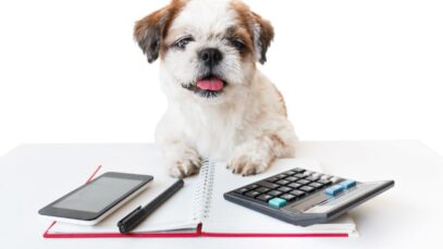Câmara votará projeto que deduz gastos com pets no IR gastos com pets