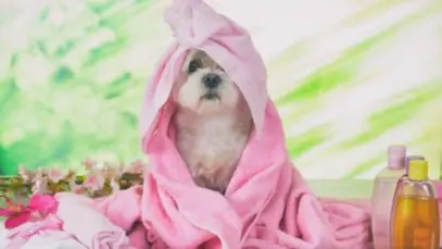 Cosméticos para pets