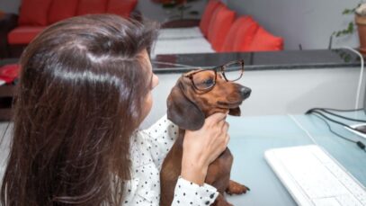Escolher nomes para cachorro uma tarefa divertida Nomes para cachorro