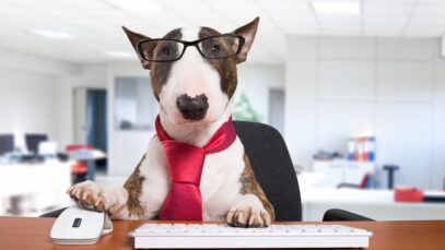 startups no mercado pet