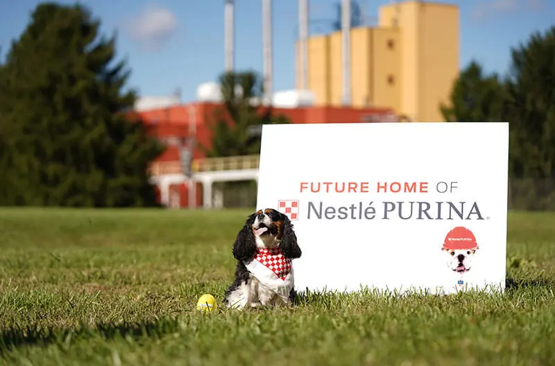 Purina dribla inflação e é motor de resultados da Nestlé