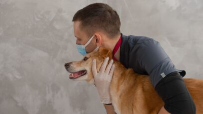 Você conhece alguma dessas curiosidades sobre saúde animal?