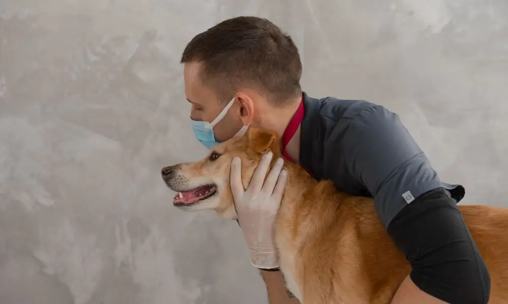 Você conhece alguma dessas curiosidades sobre saúde animal?