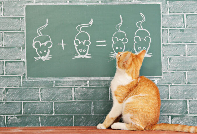 pós-graduação em veterinária