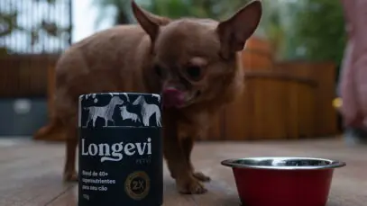 suplementos para pets