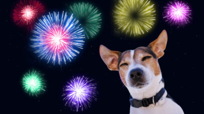 Fogos de artifício