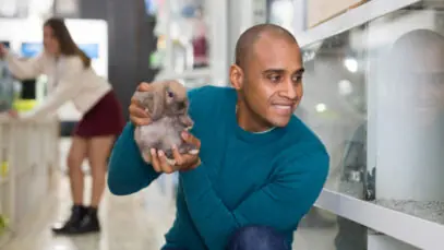 pet shops