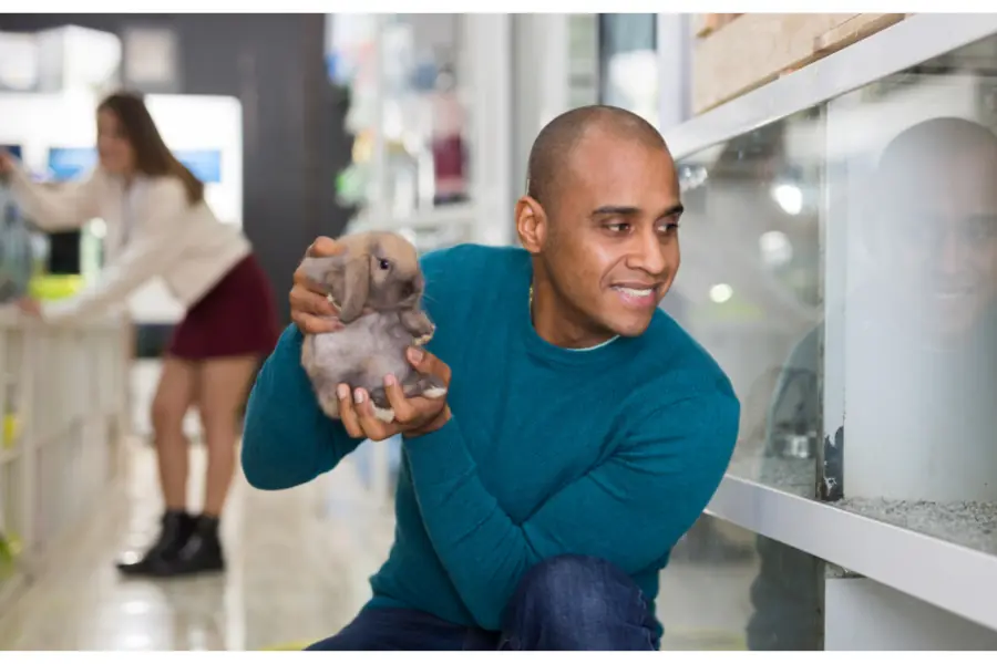 pet shops