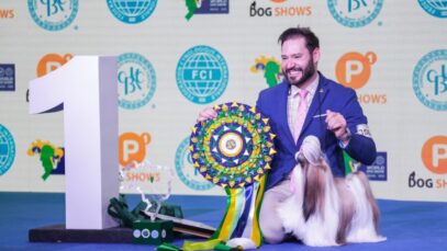 Shih Tzu 1 lugar 03 – Credito André Nery-CBKC (002) Melhor Cão do Mundo