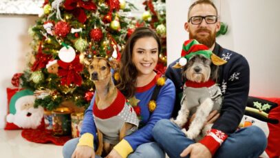 Cuidados com a alimentação dos pets nas festas de fim de ano alimentação dos pets