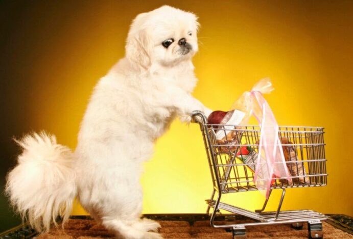 consumo em pet shops