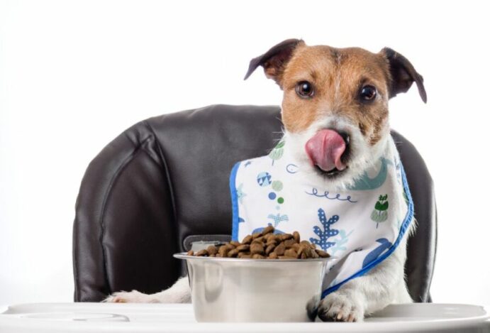 pet food