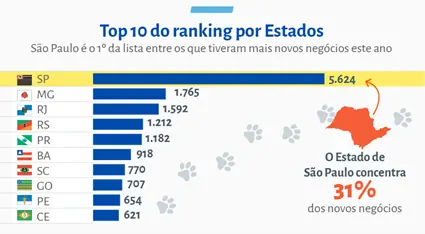 Sebrae 4