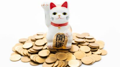 mercado pet