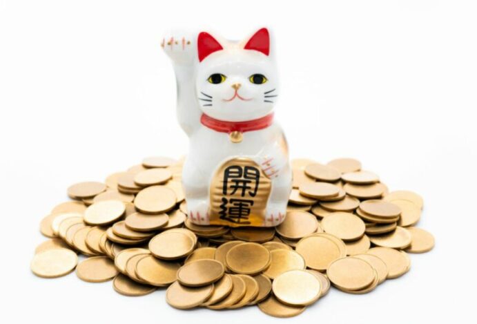 mercado pet