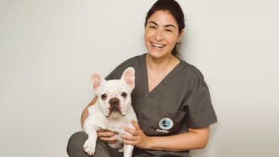 atendimento domiciliar de pets